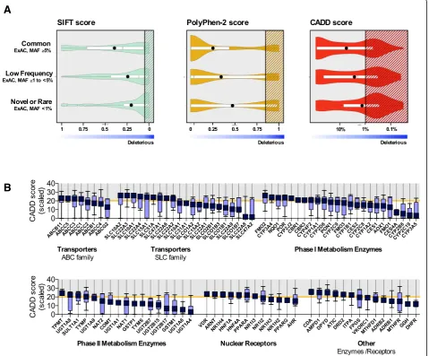Fig. 7 In silico assessment of non-synonymous variation in pharmacogenes identified by PGxSeq (variants according to SIFT, PolyPhen-2, and CADD scores separated by minor allele frequency reported in the ExAC database