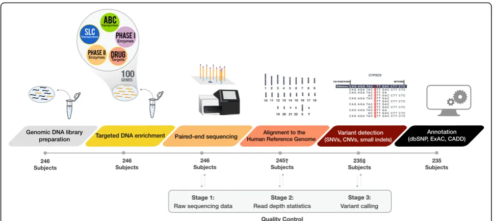 Fig. 1 PGxSeq sample and data processing workflow (n = 246). Eleven subjects were excluded from variant analysis due to low read count (†; n =1) and high GC content (‡; n = 10)