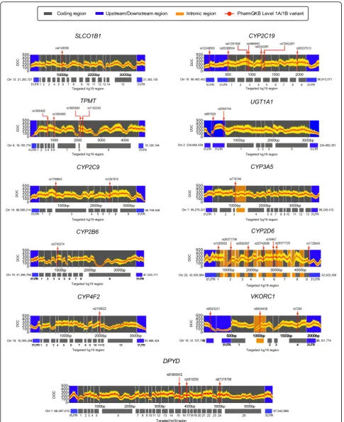 Fig. 3 Depth-of-coverage (DOC) across the targeted sequence of 11 clinically relevant genes (n = 24; Sequencing Run 1 and 2)