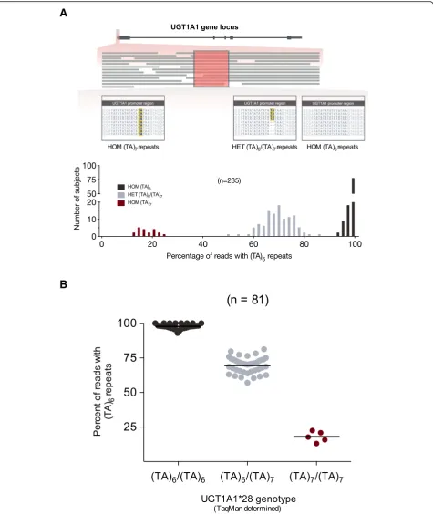 Fig. 4 Determination of UGT1A1*28 (TA)7 promoter repeat by next-generation sequencing (NGS)