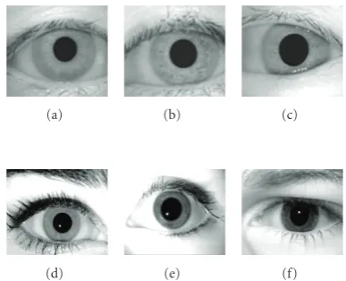 Figure 1: Samples of iris images from CASIA [12] and ICE [8]datasets.