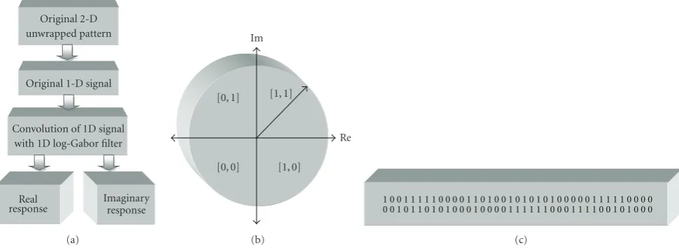 Figure 8: Feature extraction and encoding process (a) feature extraction, (b) phase quantization, and (c) generated iris pattern.