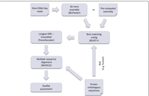 Fig. 2 Schematic overview of the Nextflow sequence refinement pipeline, the a&o-tool. All required input, i.e