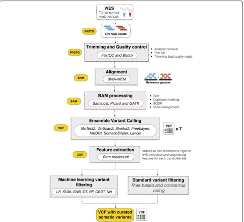 Fig. 2 NeoMutate workflow: This figure illustrates the main steps executed during NeoMutate framework, where raw reads from nearly anysequencing technology platform are transformed into an accurate list of prioritized somatic variants