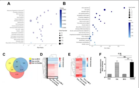 Fig. 3 RNA sequencing reveals genome-wide gene expression profiles of MOLM-13 cells treated with chidamide and MI-3 alone or in combination.treated with chidamide ± MI-3 for 48 h