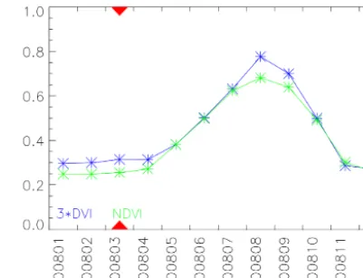 Figure 5. An example of the NDVI window content. It shows thetime series of the NDVI and the DVI