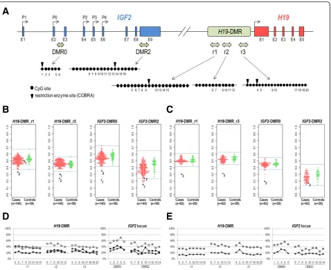 Fig. 1 DNA methylation analyses for H19-DMR and IGF2-DMRs by COBRA and pyrosequencing assays