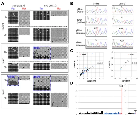 Fig. 3 Allelic DNA methylation and expression analyses and quantitative expression analysis ofcontrol