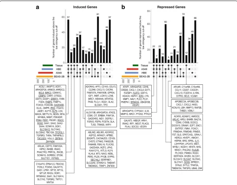 Fig. 7 Comparison of budesonide-regulated genes in the three epithelial cell variants with those in airway tissue in vivo
