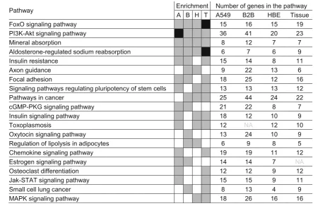 Table 1 Top 20 pathways enriched by budesonide-induced genes in airway epithelial cell variants and tissue