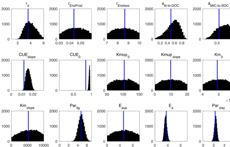 Figure 10. Posterior probability density functions of the four-pool microbial model parameters (generated by Bayesian MCMC)