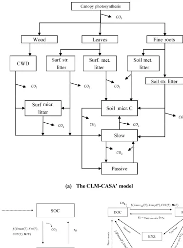 Figure 1. Schematic representations of (a) a CLM-CASA’ model, (b) a two-pool microbial model and (c) a four-pool microbial model
