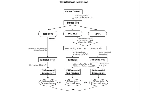 Fig. 2 Workflow diagram
