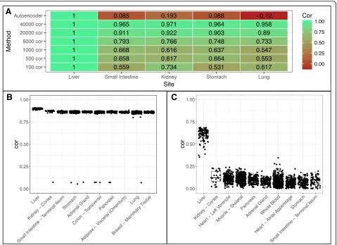 Fig. 5 Tissue correlation between GTEx sites and HCC.correlation values. a Median correlation between tissue sites and cancer normalized by median liver site b Correlations between GTEx tissue sites and HCC tumor samples using top 40,000 varying genes