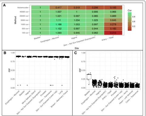 Fig. 6 Tissue correlation between GTEx sites and BUC. a Median correlation between tissue sites and cancer normalized by median bladder sitecorrelation values