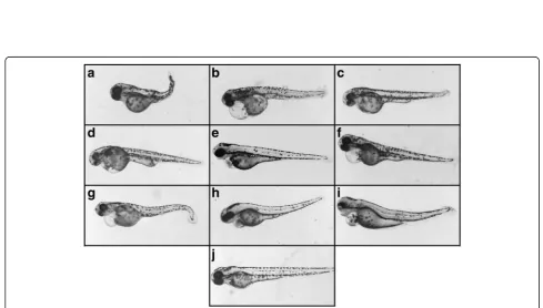 Fig. 2 Percentage of embryos showing morphological defects at 72 hpf after microinjection with eight methylxanthines at 1-2 cell stage