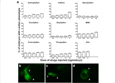 Fig. 4 Structural alteration of the heart at 48 hpf. a Percentage of embryos with structural cardiac abnormality at 48 hpf after microinjection witheight methylxanthines at 1-2 cell stage