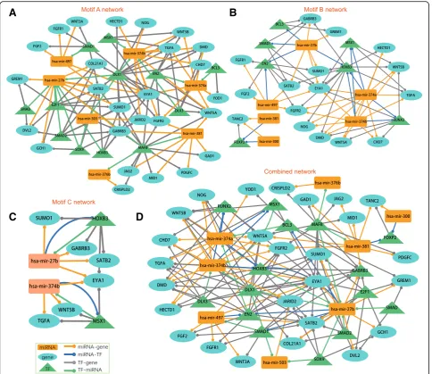 Fig. 2 Feed-forward loop (FFL) based regulatory networks. Three types of motifs (motif A, B and C) were used to construct ((a) Motif A network,b) Motif B network, (c) Motif C network, and (d) Combined network (using all three motif types)