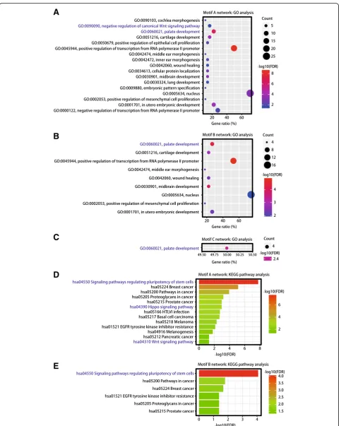 Fig. 3 Enrichment of GO and KEGG pathways in TFs and genes in each motif network. (a) GO analysis of TFs and genes in motif A network