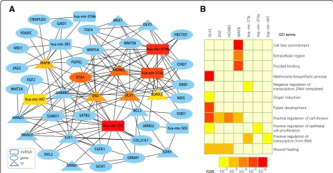 Fig. 4 Hub nodes in the combined network and GO enrichment analysis of their targets. (a) Hub nodes in the combined network