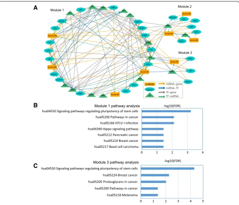 Fig. 5 Network modules and their functional analysis. (a) Network modules identified from the combined network