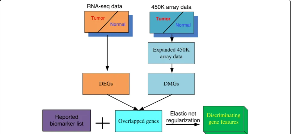Fig. 1 The strategy of the integrative gene feature selection