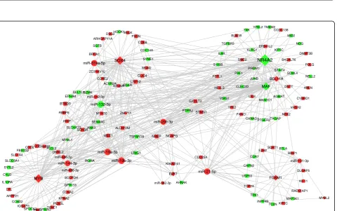 Fig. 2 (a) Hierarchical clustering of miRNAs significantly differentially expressed in the comparisons of T-ALL samples (patients and cell lines) vsnormal T cells (b) Hierarchical clustering of TFs