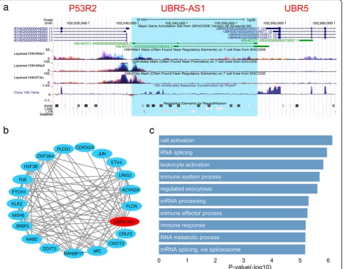 Fig. 7 Characterization of lncRNA UBR5-AS1. a The gene structure, epigenetic, conservation and repeat features of UBR5-AS1 in UCSC genomebrowser
