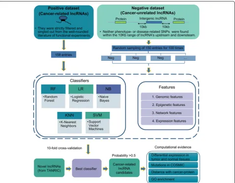 Fig. 1 A systematic overview of the CRlncRC. A work frame of CRlncRC (cancer-related lncRNA classifier) for predicting and characterizing novelcancer-related lncRNA candidates in human