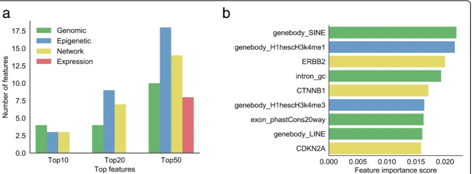 Fig. 3 Feature importance. a The distribution of four feature categories (genomic, epigenetic, network, and expression) in top 10, top 20, and top50 features