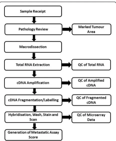 Fig. 1 Overview of the Metastatic Assay workflow and qualitycontrol (QC)