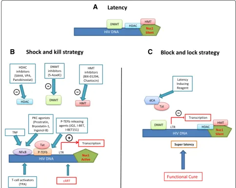 Fig. 1 Epigenetic manipulation to eradicate HIV: “shock and kill” or “block and lock”? a Latent HIV provirus-established reservoirs in infected restingCD4+ memory T cells and myeloid cells are not eliminated by cART and are thus prone to be reactivated aft