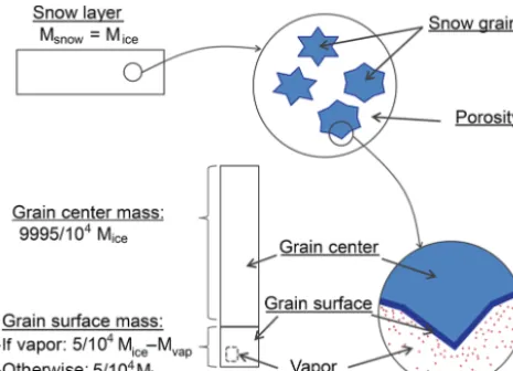 Figure 1. Splitting of the snow layer into two compartments, graincenter and grain surface, with a constant mass ratio between them.The vapor compartment is a sub-compartment inside the grain sur-face compartment and is only deﬁned at speciﬁc steps of the model.