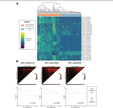 Fig. 5 Tumor methylation comparison of candidate genes and predictive ability for recurrence.beta values normalized by probe for seven genes exhibiting significantly altered expression and methylation in both knockouts and matchedprostate tumor and normal 