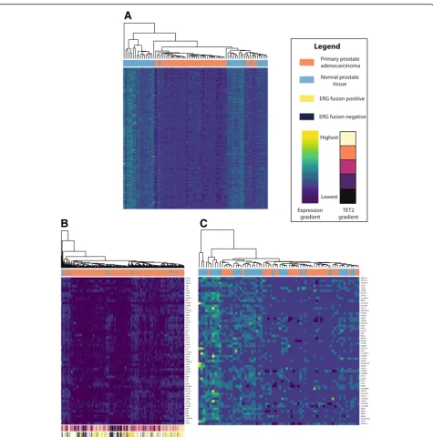 Fig. 2 = 35). Expression gradient bar indicates normalized expression levels, ranging from highest (yellow) to TET2 gradient bar indicates TET2 a 780 genes exhibiting significant loss ofclowest (dark blue)