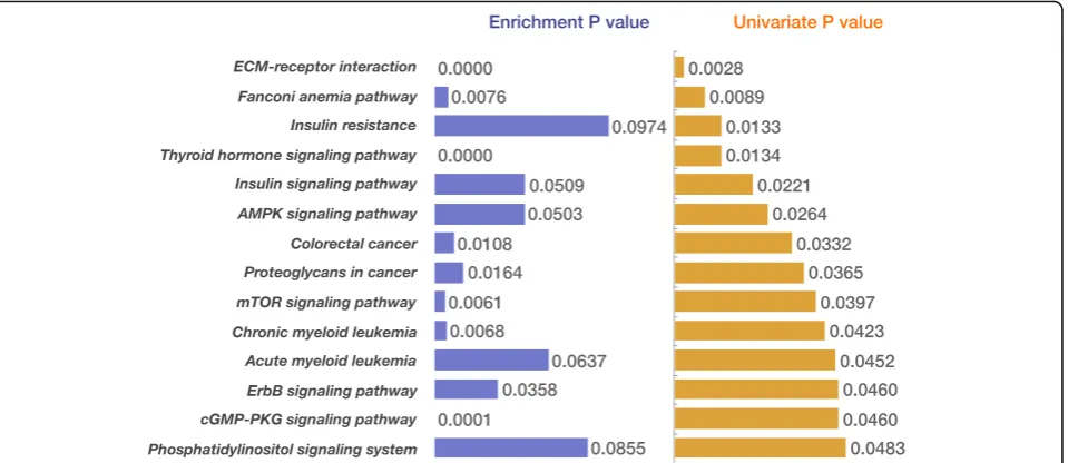 Fig. 5 The 14 pathways enriched by differential mutated genes. The 14 pathways were significantly enriched by the top 2000 differentiallymutated genes with higher MRDS (blue bar)