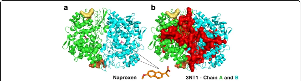 Fig. 2 Cavities of Prostaglandin-endoperoxide synthase 2 (PDB 3NT1).two binding-sites of this protein in the Pisces dataset