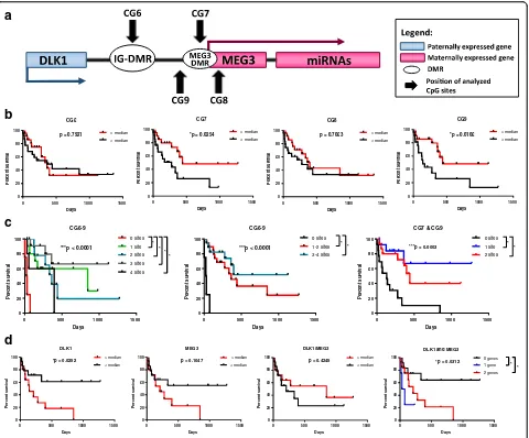Fig. 1 Survival of AML patients based on DLK1-MEG3 CpG site methylation and imprinted gene expression in AML MNCs