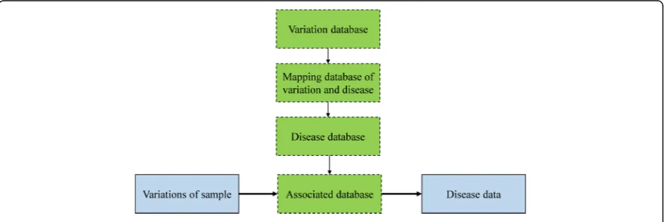 Fig. 2 Workflow of disease identification and discovery