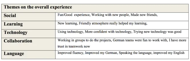 Table 1. Themes on the overall experience