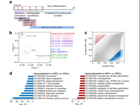Fig. 1 DNA methylation profiles of iPSC-derived hematopoietic progenitor cells. a Schematic representation of the differentiation protocol ofiPSCs toward hematopoietic progenitor cells