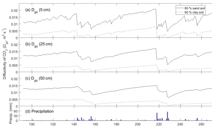 Figure 6. Time series of how the modeled diffusivity of CO2 (Dgs) at three different depths (5, 25, and 50 cm) varies between a predominantlysandy soil (solid line) and a predominantly clay soil (dashed line)