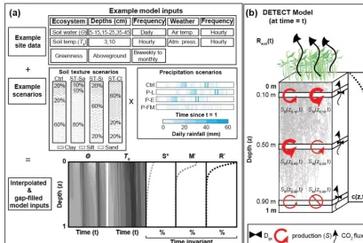 Figure 1. Graphical representation of (a) the required inputs to the DETECT model and the associated scenarios implemented in this study;and (b) the components of the DETECT model at a particular time t, indicating depth-dependent production, CO2 concentrations, and CO2ﬂuxes.