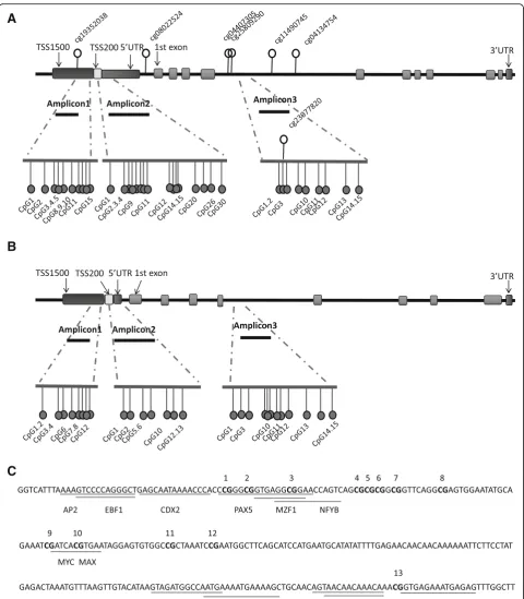 Fig. 1 (See legend on next page.)