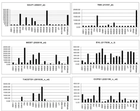 Table 1: Selected HG-U133A probes with average fold-change higher than two in HMCLs