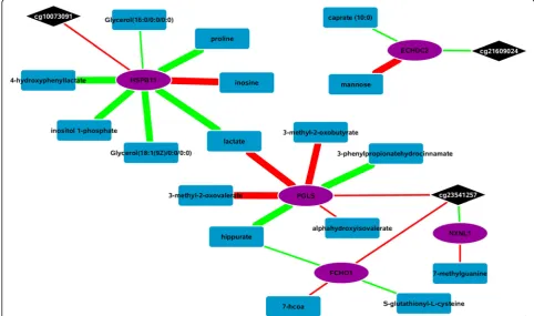 Table 4 Integration of epigenetic fingerprint loci with gene expression