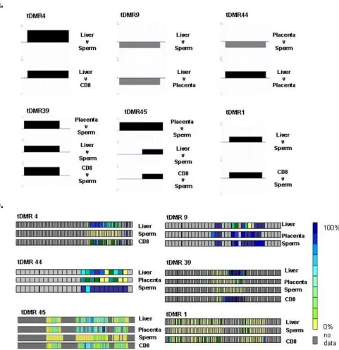 Figure 5tDMR validationby ESME (see Methods). Grey squares indicate CpG sites for which no data could be obtained