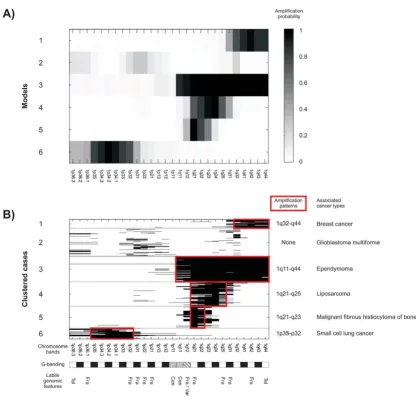 Figure 2Amplification models and clustered data from chromosome 1In panel B, each line represents a single cancer case in the data set and amplified chromosome bands are marked black