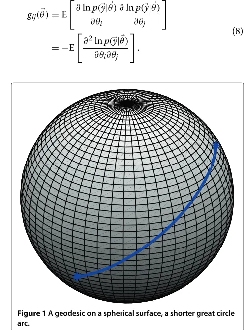 Figure 1 A geodesic on a spherical surface, a shorter great circle