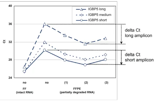Figure 3De-modification of RNA results in higher efficiency during subsequent QPCRDe-modification of RNA results in higher efficiency during subsequent QPCR